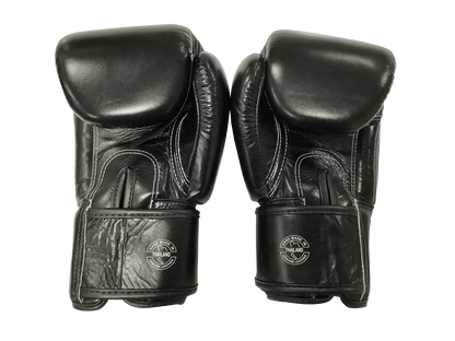 Fairtex Boxing Gloves BGV1 "ONE" Black Fairtex