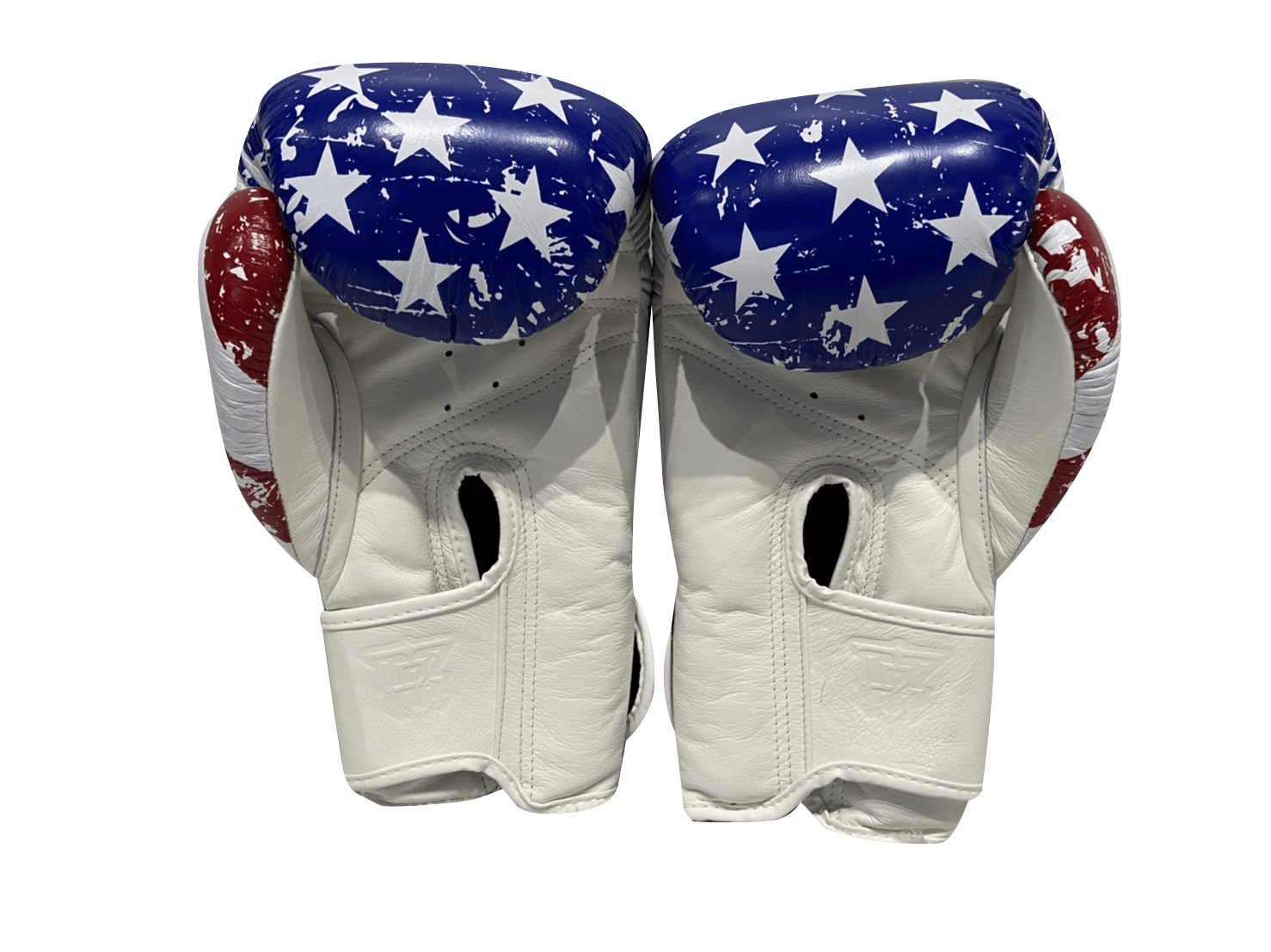 Top King Boxing Gloves TKBGFV USA - SUPER EXPORT SHOP