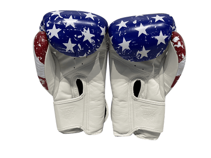 Top King Boxing Gloves TKBGFV USA - SUPER EXPORT SHOP