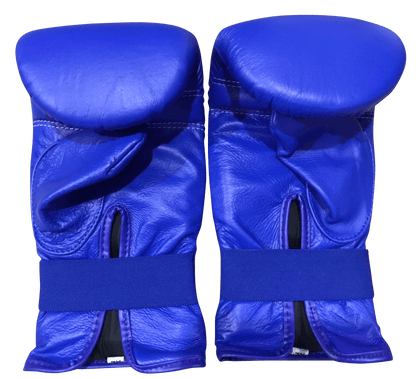 Twins Special Boxing Bag Gloves TBGL1F Blue - SUPER EXPORT SHOP