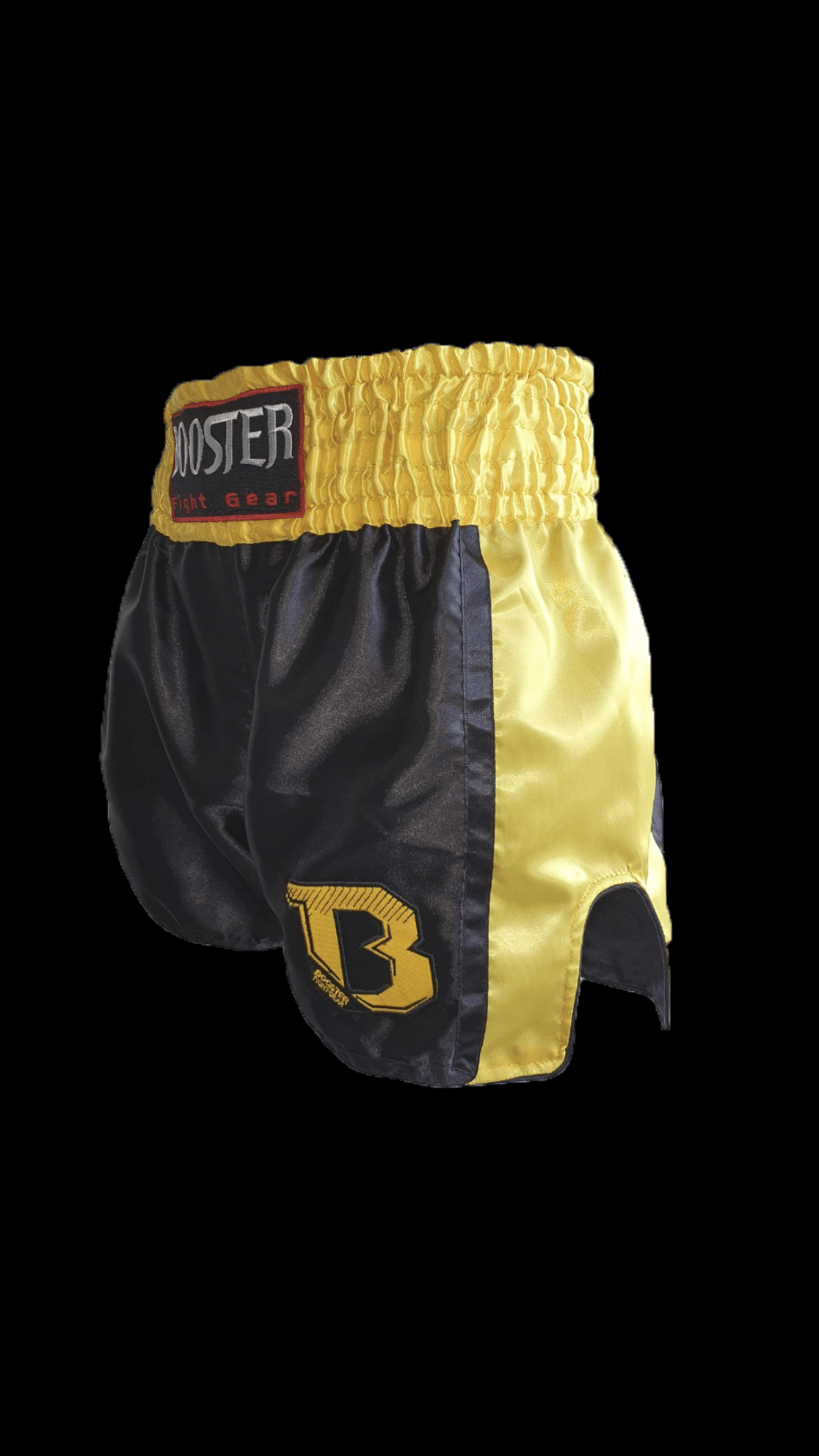 BOOSTER SHORTS TBT PRO 4.33